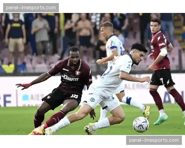 保级六分战：维罗纳与萨勒尼塔纳将为生存直接火并